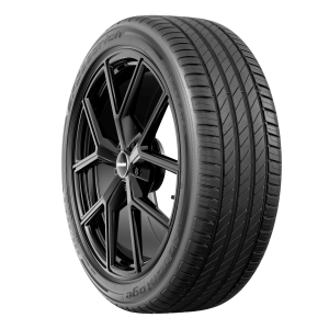 BF-GOODRICH ADVANTAGE 2 195/55 16 87 T TURISMO-SUMMER