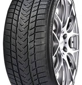 GRIPMAX STATUS PRO WINTER 195/55 20 95 H TURISMO-WINTER